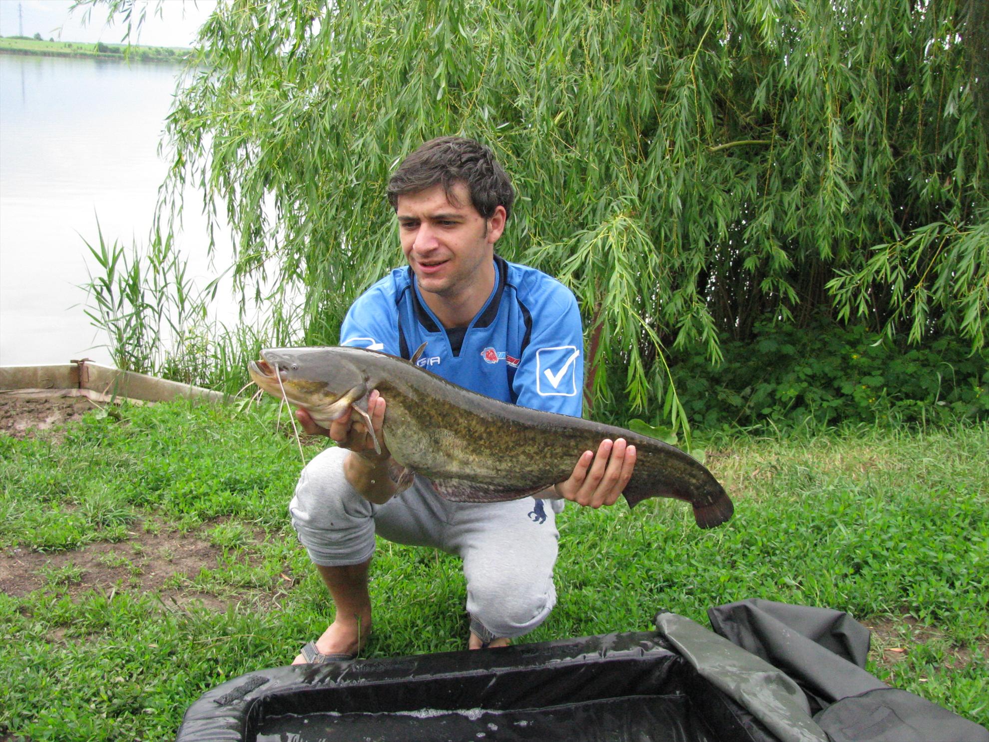 Poze 19-21.05.2012 Tancabesti Avicola 2 - img0161.JPG